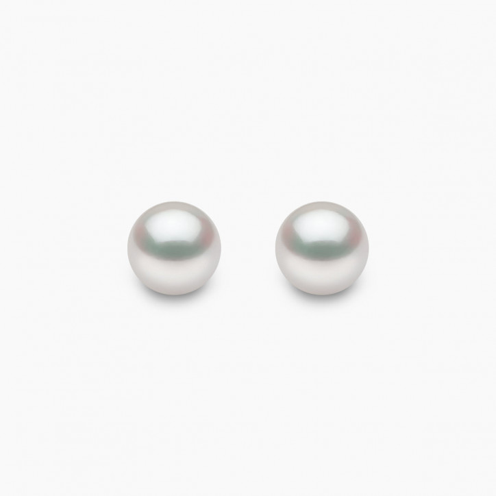 Classic 18K Gold AAA Akoya Pearl Stud Earrings