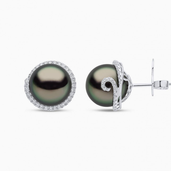 Duchess 18K Gold Tahitian Pearl and Diamond Stud Earrings