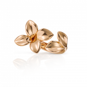 GIARDINI SEGRETI RING