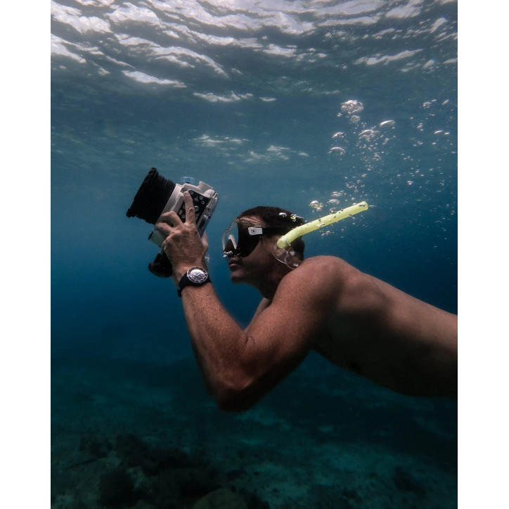 Diver Hammerhead Shark Diver Hammerhead Shark